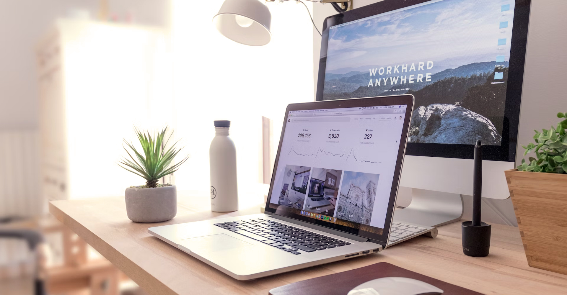 Network Management Software